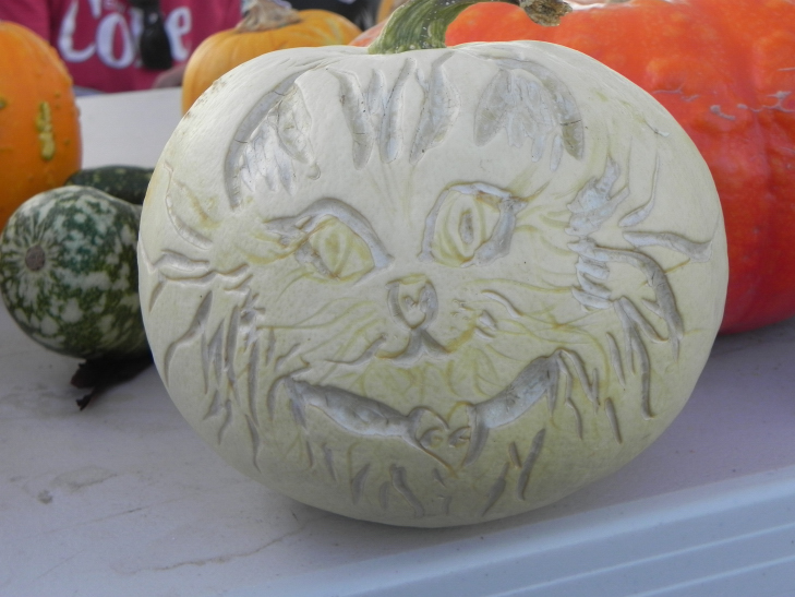 Pumpkin Carving Idea Cat